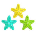 Pet Supply Star-Shaped Squeaky Dog Chewing Toy Pet Toys